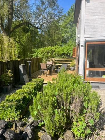 Gite Et Chambre D'Hote Gussignies Eksteriør billede